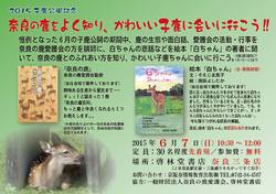 6月7日（日） 2015子鹿公開記念 「奈良の鹿をよく知り、かわいい子鹿に会いに行こう!!」