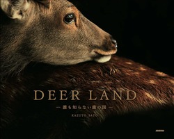  佐藤和斗 第２弾 写真集「DEER LAND －誰も知らない鹿の国－」　出版記念特別展示＜終了＞